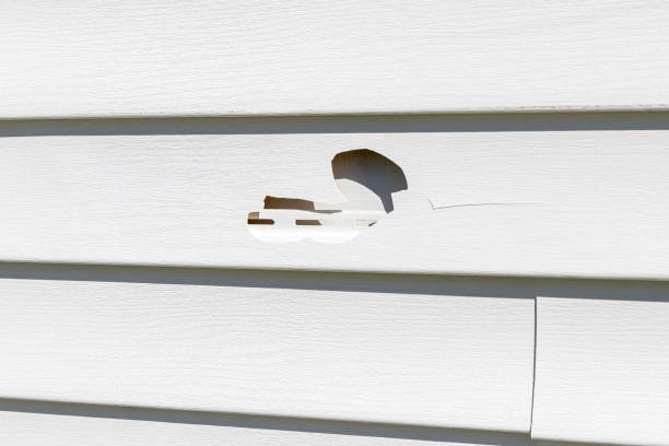 Trusted Bridgeville, PA Siding Installation & Repair Experts